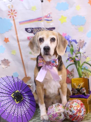 20240522ミツコちゃん